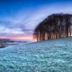Frosty English Landscape